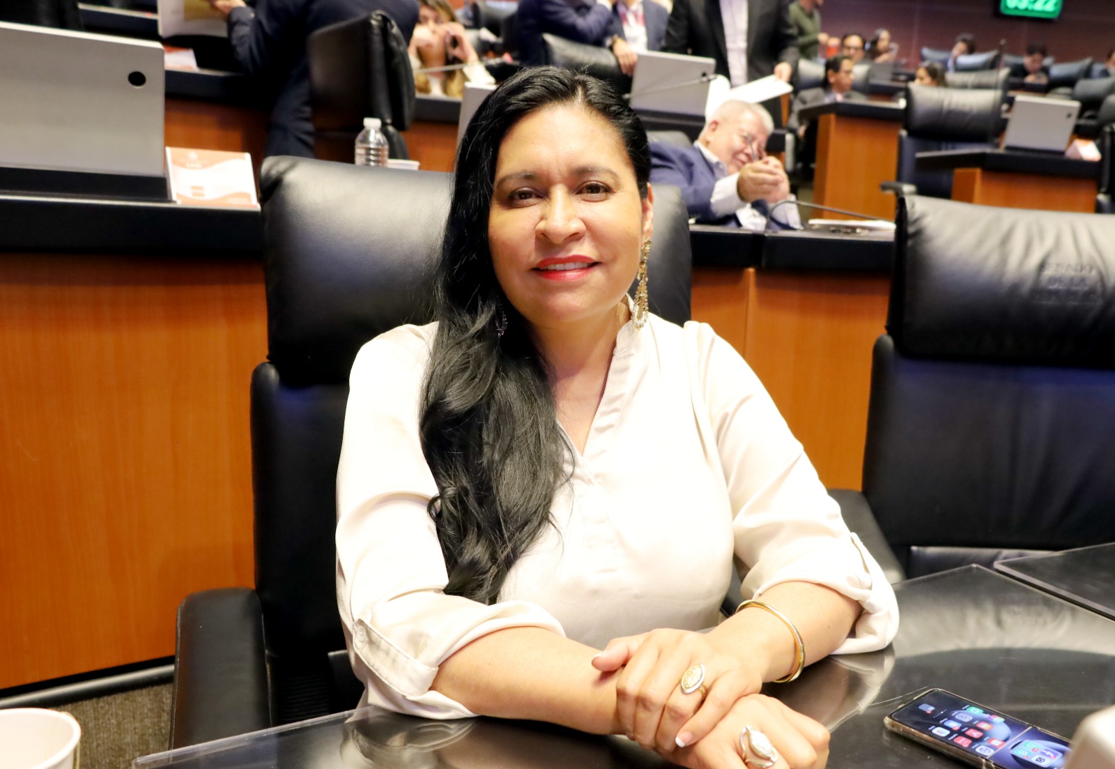Blindar procesos electorales es fundamental para fortalecer la democracia: Ana Lilia Rivera